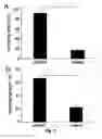 Fig. 04 - Biodegradable, antioxidant, thermally responsive injectable hydrogel and uses therefor