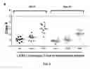 Fig. 06 - METHODS OF ASSESSING POTENCY OF VIRAL VECTORS