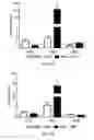 Fig. 03 - Method of targeting oncolytic viruses to tumors