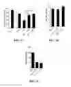 Fig. 04 - Method of targeting oncolytic viruses to tumors