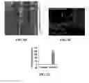 Fig. 08 - Method of targeting oncolytic viruses to tumors