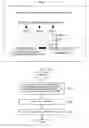 Fig. 07 - Cell preparation and method for producing cell preparation