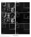 Fig. 07 - DELIVERY OF NUCLEIC ACIDS, PROTEINS AND SMALL MOLECULES IN VITREOUS VESICULAR BODIES