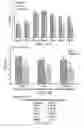 Fig. 13 - Lactic acid bacterial strains
