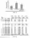 Fig. 17 - Lactic acid bacterial strains