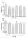 Fig. 19 - Lactic acid bacterial strains