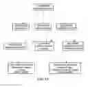 Fig. 26 - Lactic acid bacterial strains