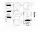 Fig. 07 - Compositions, methods and uses comprising teneurin C-terminal associated peptide -1 (TCAP-1) for enhancing muscle performance