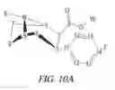 Fig. 13 - BOLAAMPHIPHILIC COMPOUNDS, COMPOSITIONS AND USES THEREOF