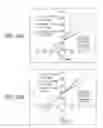 Fig. 40 - BOLAAMPHIPHILIC COMPOUNDS, COMPOSITIONS AND USES THEREOF