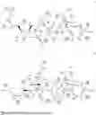 Fig. 93 - BOLAAMPHIPHILIC COMPOUNDS, COMPOSITIONS AND USES THEREOF