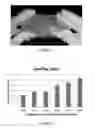 Fig. 02 - Hydrogel membrane for adhesion prevention