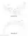 Fig. 49 - Nasal seal and respiratory interface