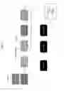 Fig. 44 - System and methods for ambulatory generation of nitric oxide