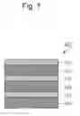 Fig. 08 - Gel sheet