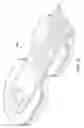 Fig. 27 - Softening nerve cuff electrodes