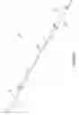 Fig. 02 - Barbell