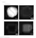 Fig. 02 - Silicon compound-coated metal particles