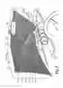 Fig. 02 - Collapsible Sunshade