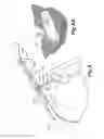 Fig. 06 - Collapsible Sunshade