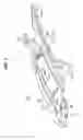 Fig. 04 - Vehicle pillar structure and vehicle side portion structure