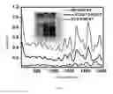 Fig. 02 - Method and reagent for improving yield of selective dispersion of semiconducting carbon nanotubes