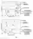 Fig. 02 - Extrusion granulated urea-formaldehyde-based multi-nutrient slow/controlled release fertilizer and preparation method thereof