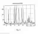Fig. 02 - Polymorphic forms of 3-(4-amino-1-oxo-1,3 dihydro-isoindol-2-yl)-piperidine-2,6-dione