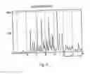 Fig. 07 - Polymorphic forms of 3-(4-amino-1-oxo-1,3 dihydro-isoindol-2-yl)-piperidine-2,6-dione