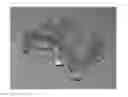 Fig. 01 - Neopetrosides A and B, and synthesis method thereof