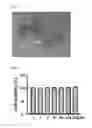 Fig. 02 - Neopetrosides A and B, and synthesis method thereof