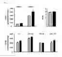 Fig. 06 - Neopetrosides A and B, and synthesis method thereof