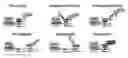 Fig. 01 - TARGETED ENHANCED DNA DEMETHYLATION
