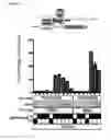 Fig. 04 - TARGETED ENHANCED DNA DEMETHYLATION