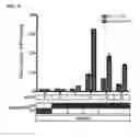 Fig. 07 - TARGETED ENHANCED DNA DEMETHYLATION