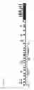 Fig. 08 - TARGETED ENHANCED DNA DEMETHYLATION