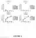 Fig. 08 - Compositions and methods for treating cancer with anti-mesothelin immunotherapy