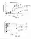 Fig. 06 - Anti-PD-L1 antibodies and methods of use