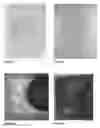 Fig. 03 - Lavatory cleansing block