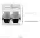 Fig. 02 - METHODS OF CELL SEPARATION