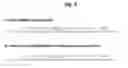 Fig. 08 - Chemically modified single-stranded RNA-editing oligonucleotides