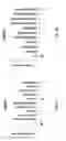 Fig. 02 - Nucleic acid constructs, plants with increased tuber yield, and methods for increasing tuber yield in a plant