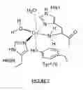 Fig. 08 - POLYSACCHARIDE-OXIDIZING COMPOSITION AND USES THEREOF