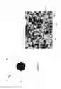 Fig. 06 - WEAR RESISTANT COATING