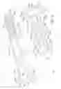 Fig. 15 - Self-drilling anchor assembly