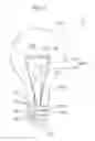 Fig. 02 - Light bulb shaped lamp