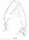 Fig. 02 - Firearm holding apparatus