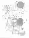 Fig. 06 - WIND TUNNEL SKYDIVING SIMULATOR