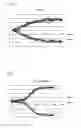 Fig. 07 - Blood coagulation test device and blood coagulation test method