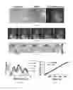 Fig. 10 - Devices, Compositions, and Methods for Measuring Molecules and Forces